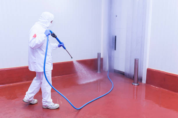 Best House Exterior Washing  in Emma, NC